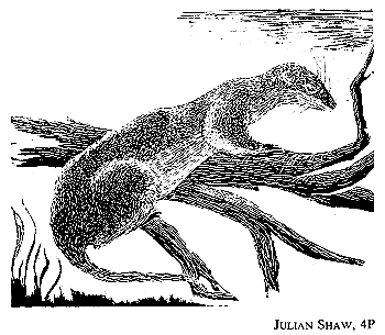 Linocut by Alan Wilde (1968)